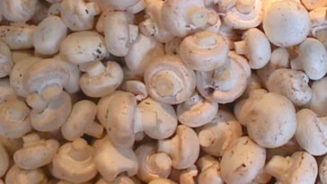 Can I freeze mushrooms without blanching?
