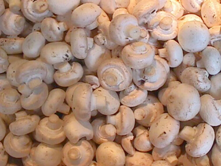 Can I freeze mushrooms without blanching?