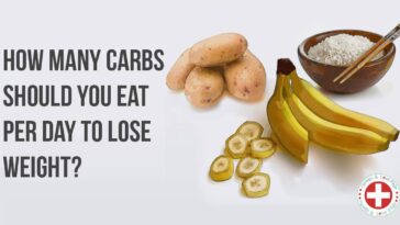 Can I lose weight on 100 carbs a day?