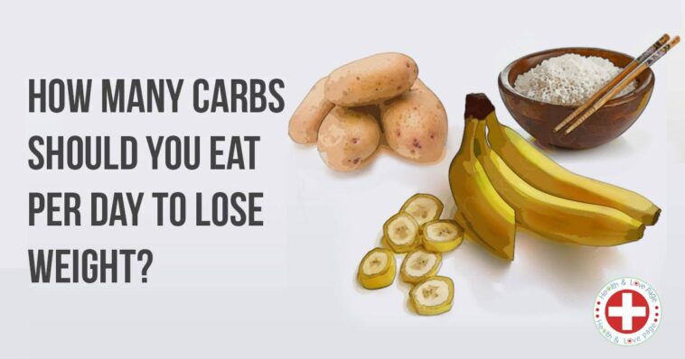 Can I lose weight on 100 carbs a day?