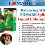 Can I take liquid chlorophyll everyday?