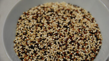 Can I use quinoa instead of chia seeds?
