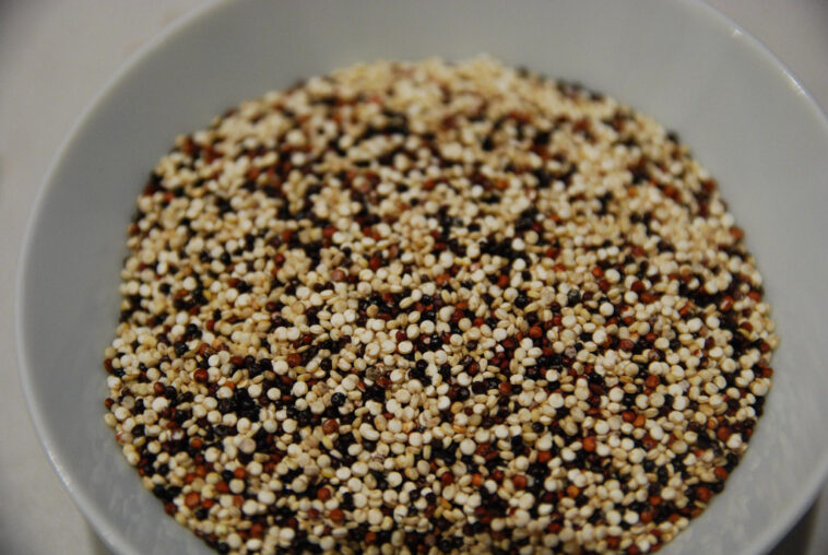 Can I use quinoa instead of chia seeds?