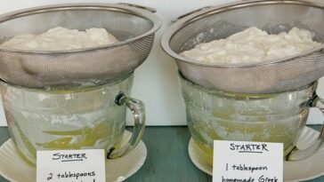 Can I use whey to make stock?