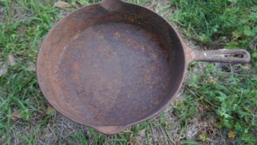 Can all cast iron skillets go in the oven?