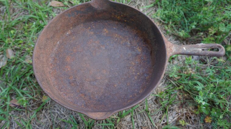 Can all cast iron skillets go in the oven?