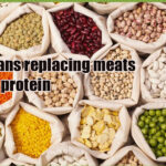 Can beans replace meat protein?