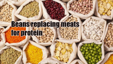 Can beans replace meat protein?