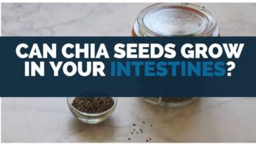 Can chia seeds grow in your intestines?