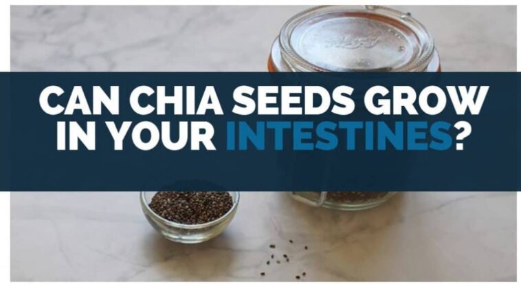 Can chia seeds grow in your intestines?