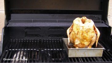 Can chicken give you gas?