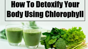 Can chlorophyll detox your body?