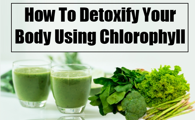 Can chlorophyll detox your body?