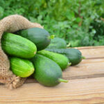 Can cucumbers act as a laxative?