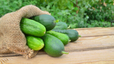 Can cucumbers act as a laxative?