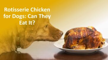 Can dogs eat rotisserie chicken?