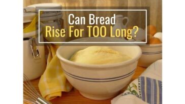 Can dough rise too long?