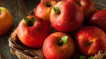Can eating apples burn belly fat?