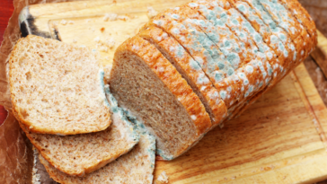 Can eating bread cause yeast infections?