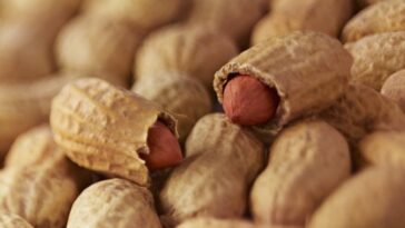 Can eating too many blueberries make you fat?