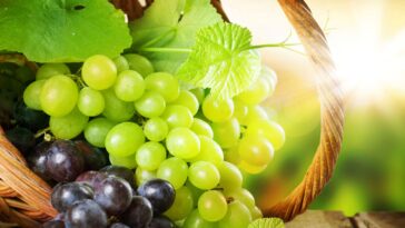 Can grapes cause sleeplessness?
