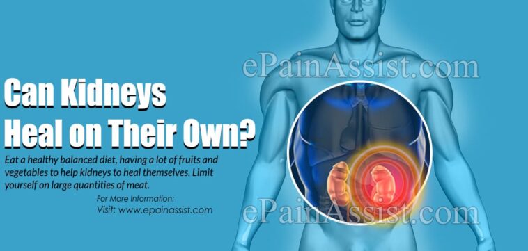 Can kidneys heal?