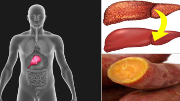 Can liver damage reversed?