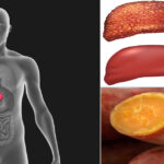 Can liver damage reversed?