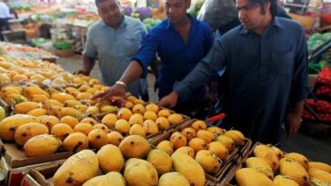 Can mangoes cause constipation?