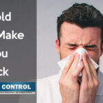 Can mold make you nauseous?