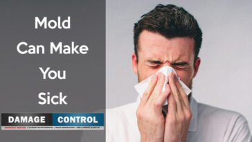 Can mold make you nauseous?