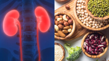 Can protein bars affect your kidneys?