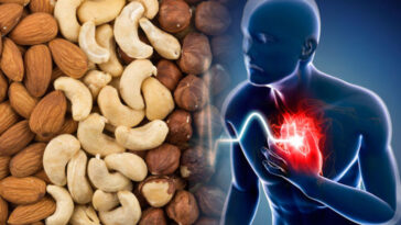 Can too much protein cause heart attacks?