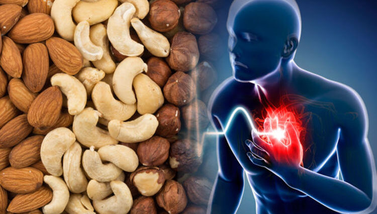 Can too much protein cause heart attacks?