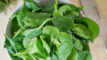 Can you be intolerant to spinach?