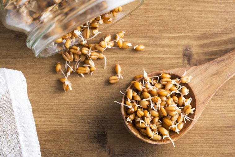 Can you buy sprouted grains?