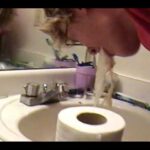 Can you chug a gallon of milk?