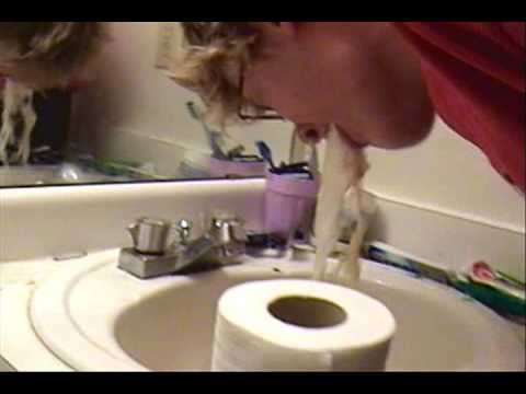 Can you chug a gallon of milk?