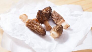 Can you cook slimy mushrooms?