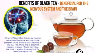 Can you drink coffee with L-theanine?