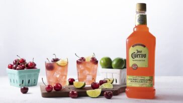 Can you drink margarita mix while pregnant?