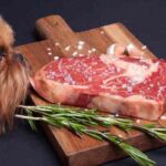 Can you eat Costco steak raw?