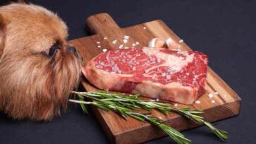 Can you eat Costco steak raw?