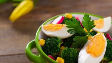 Can you eat an egg every day?