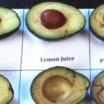 Can you eat avocado that is brown inside?
