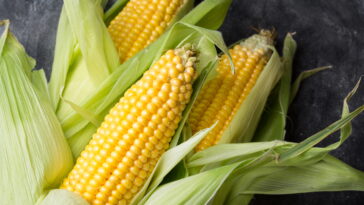 Can you eat corn on the cob with GERD?