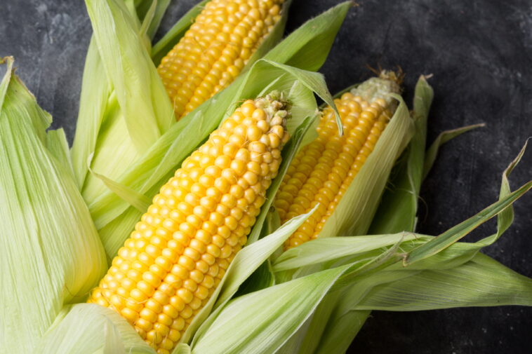 Can you eat corn on the cob with GERD?