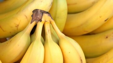 Can you eat fermented banana?