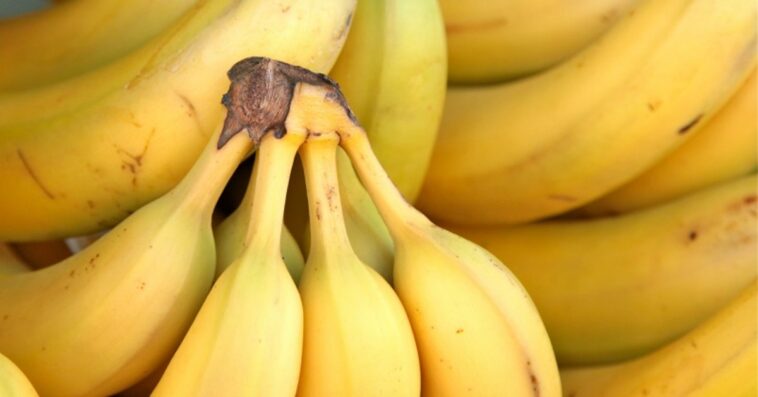 Can you eat fermented banana?