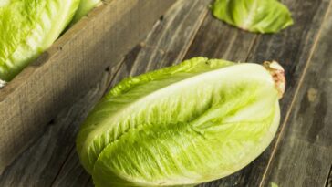 Can you eat lettuce on a low-potassium diet?